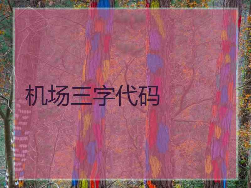机场三字代码