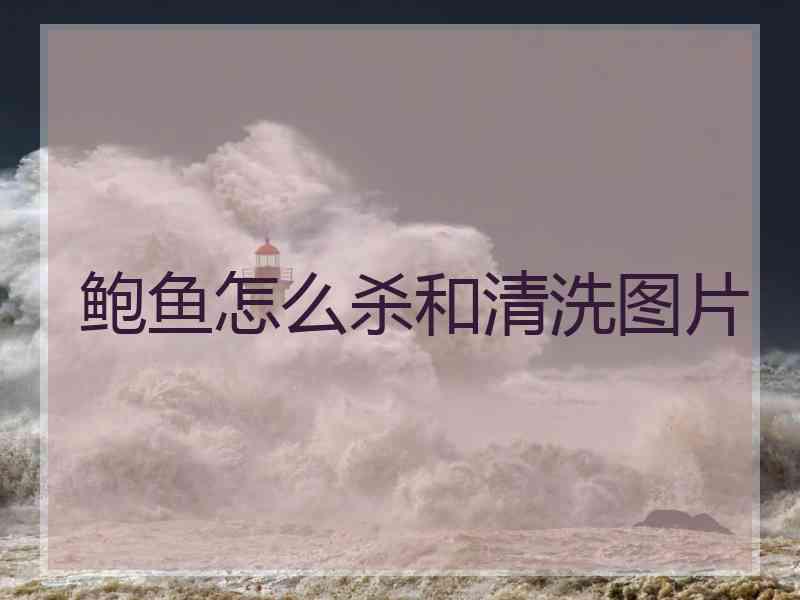 鲍鱼怎么杀和清洗图片