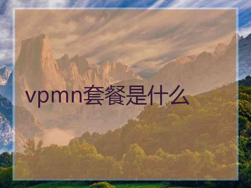 vpmn套餐是什么