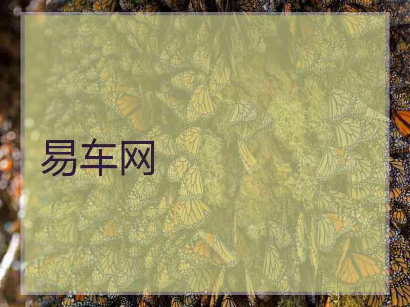 易车网