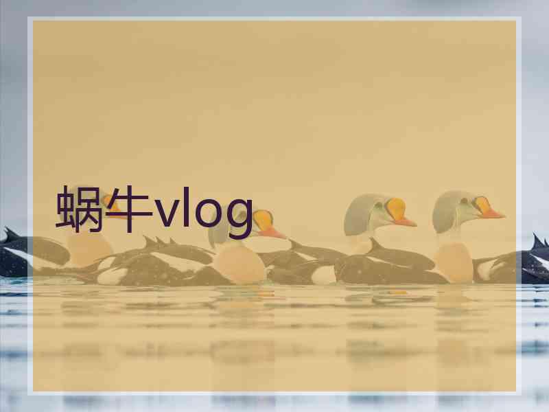 蜗牛vlog