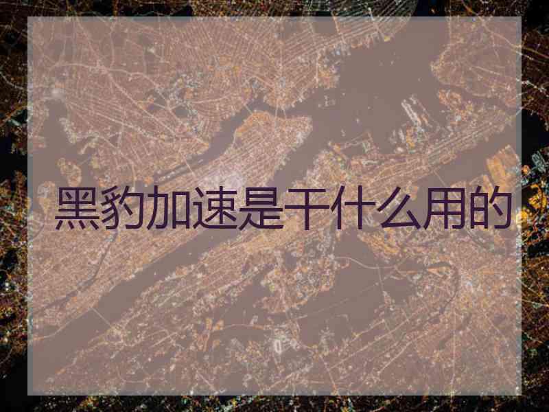 黑豹加速是干什么用的