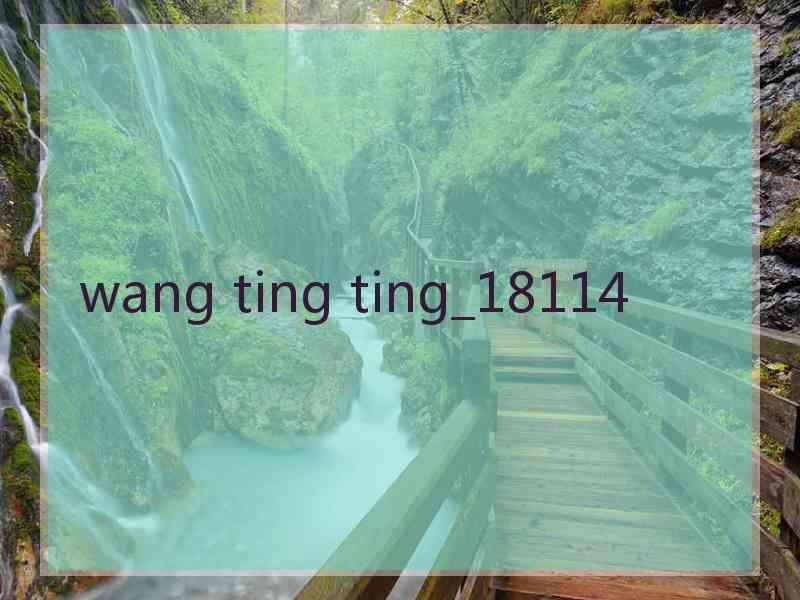 wang ting ting_18114