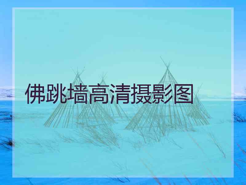 佛跳墙高清摄影图