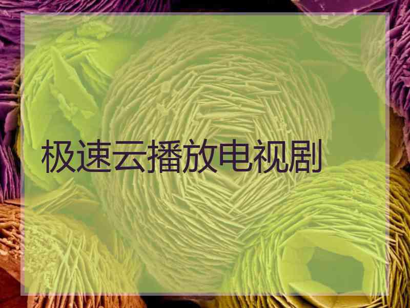 极速云播放电视剧