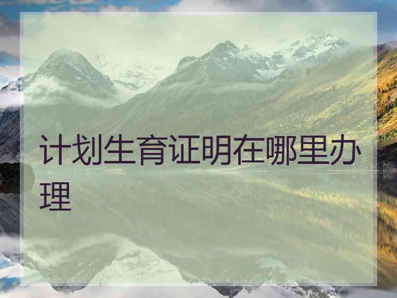 计划生育证明在哪里办理