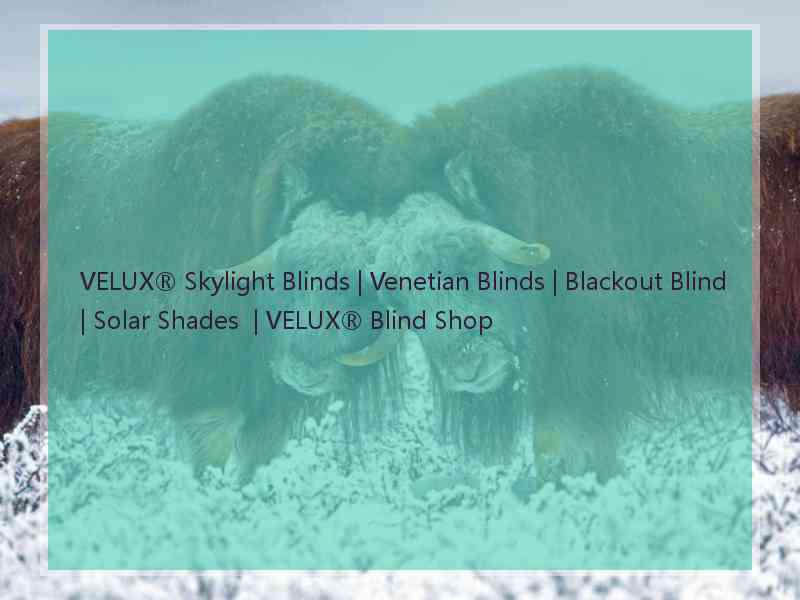 VELUX® Skylight Blinds | Venetian Blinds | Blackout Blind | Solar Shades  | VELUX® Blind Shop