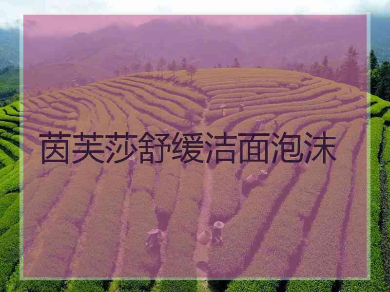 茵芙莎舒缓洁面泡沫