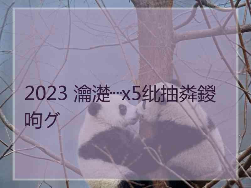 2023 瀹濋┈x5纰抽粦鍐呴グ