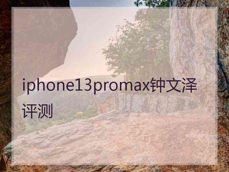 iphone13promax钟文泽评测