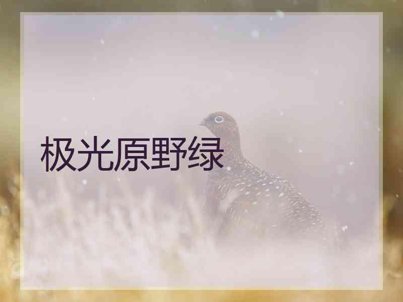 极光原野绿