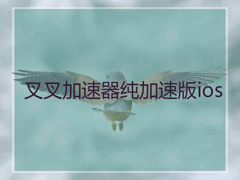 叉叉加速器纯加速版ios