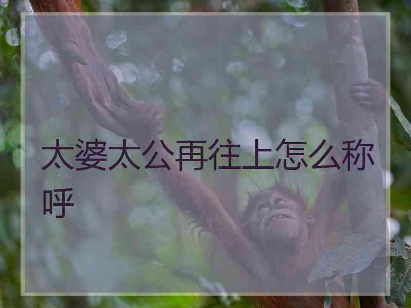太婆太公再往上怎么称呼