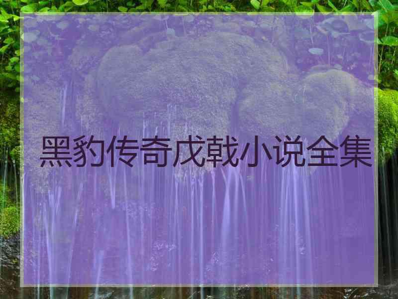 黑豹传奇戊戟小说全集