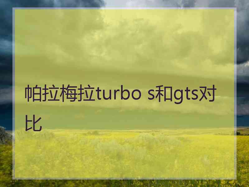 帕拉梅拉turbo s和gts对比