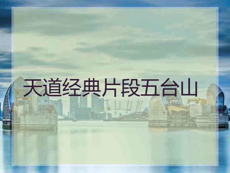 天道经典片段五台山