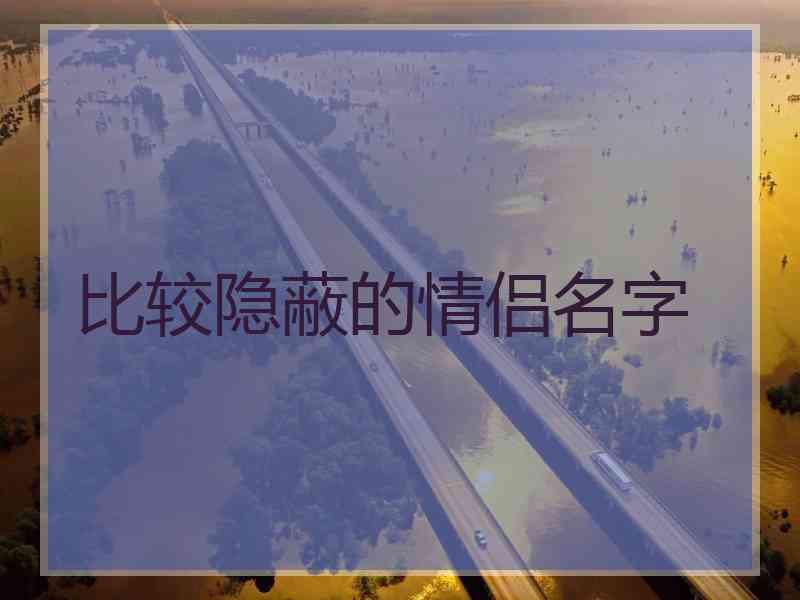 比较隐蔽的情侣名字
