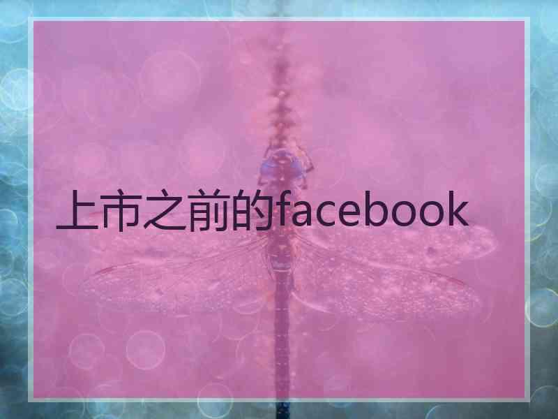 上市之前的facebook