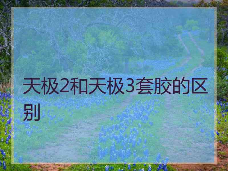 天极2和天极3套胶的区别