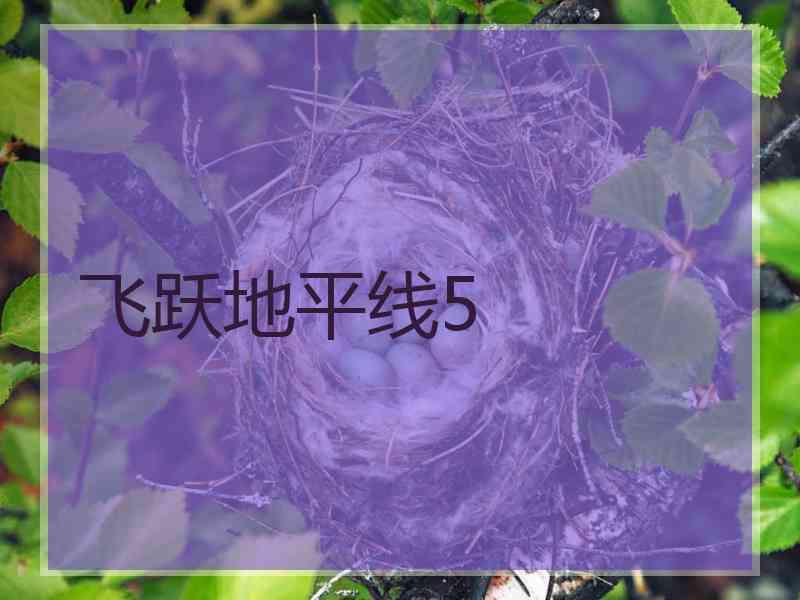 飞跃地平线5