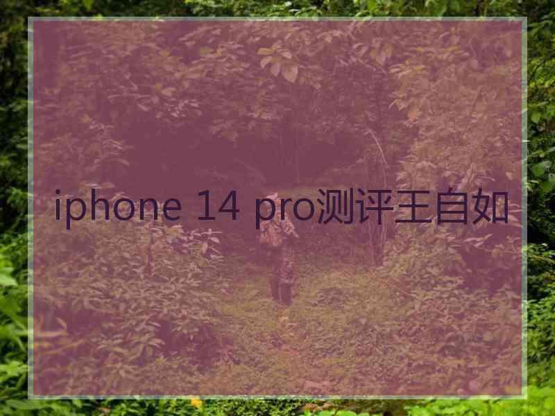 iphone 14 pro测评王自如