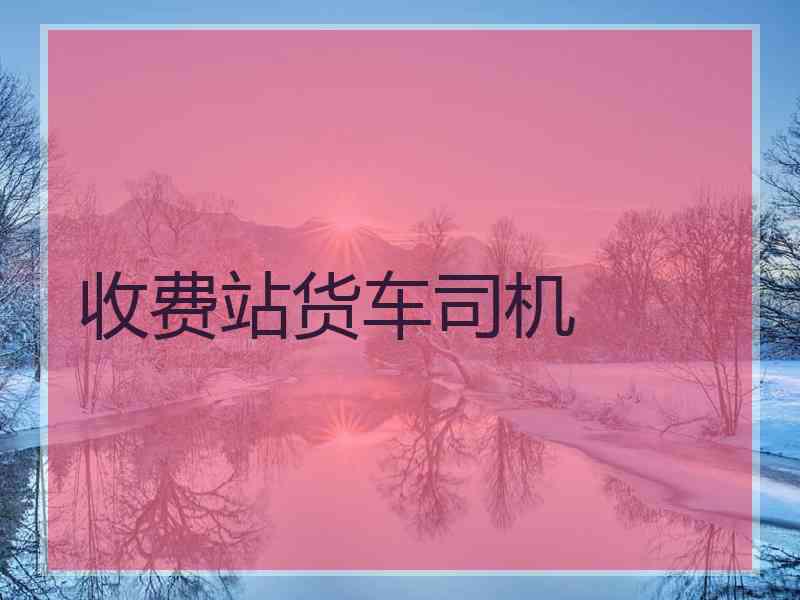 收费站货车司机
