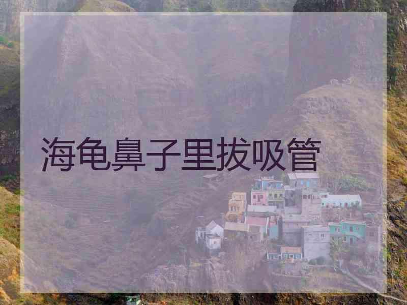 海龟鼻子里拔吸管
