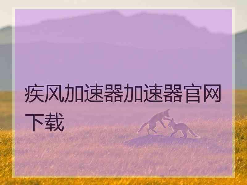 疾风加速器加速器官网下载