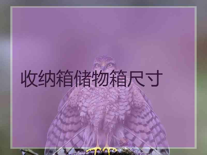 收纳箱储物箱尺寸