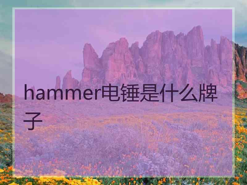 hammer电锤是什么牌子
