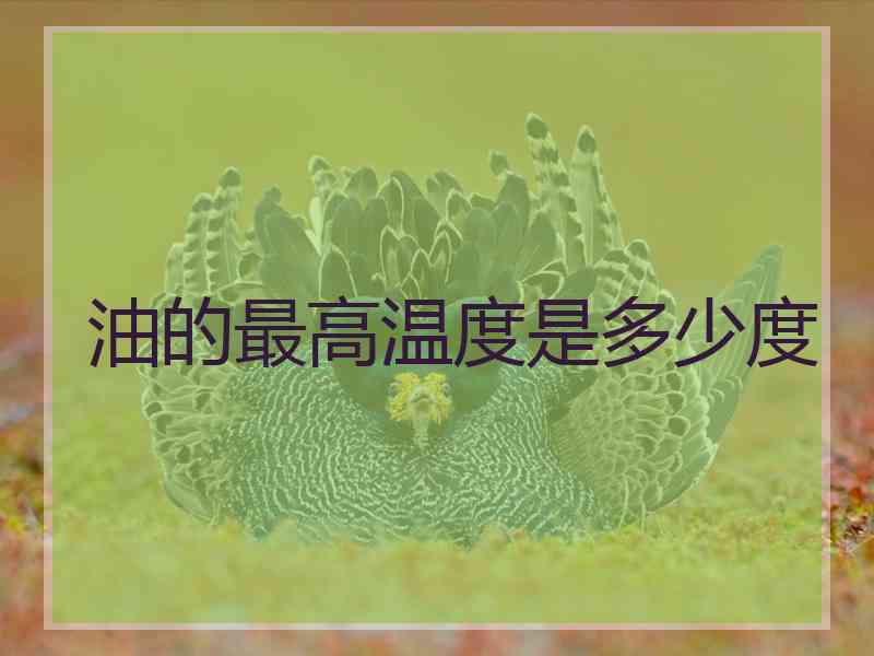 油的最高温度是多少度