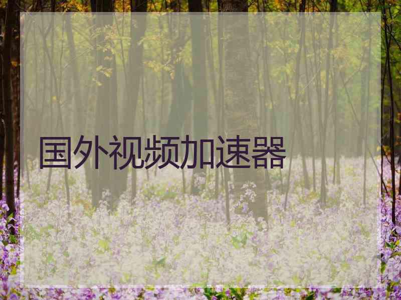 国外视频加速器