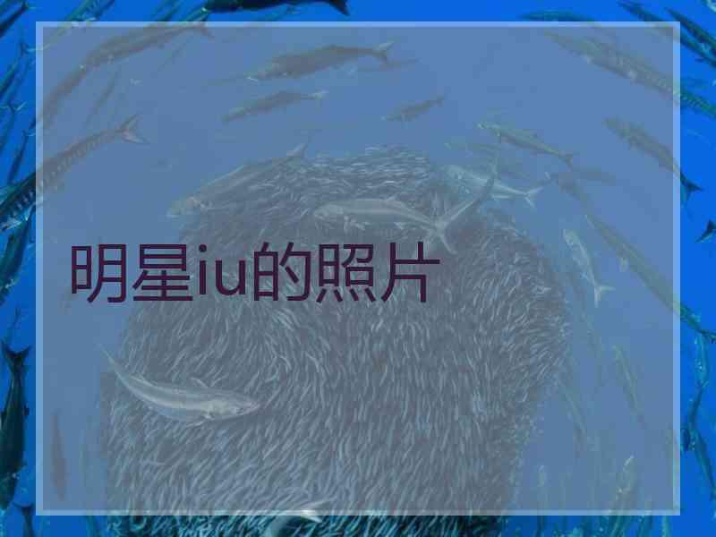 明星iu的照片
