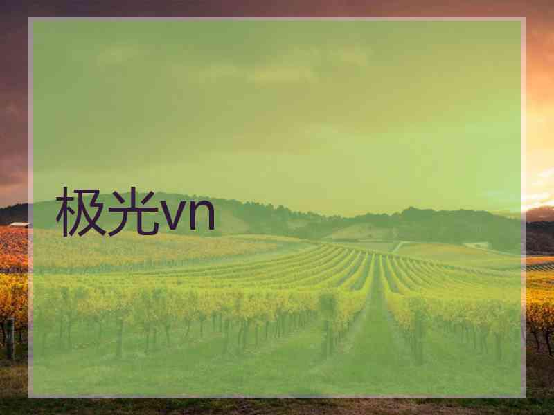 极光vn