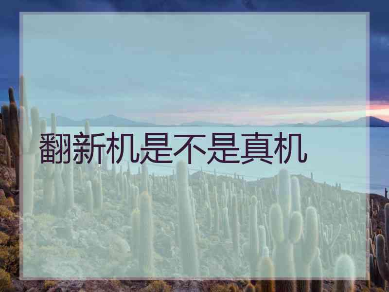 翻新机是不是真机