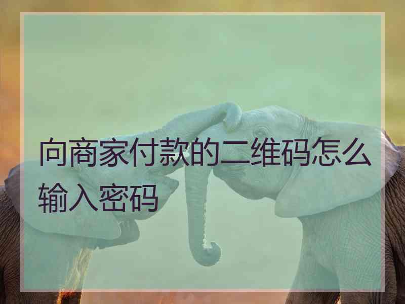 向商家付款的二维码怎么输入密码