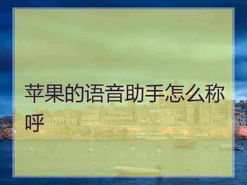 苹果的语音助手怎么称呼