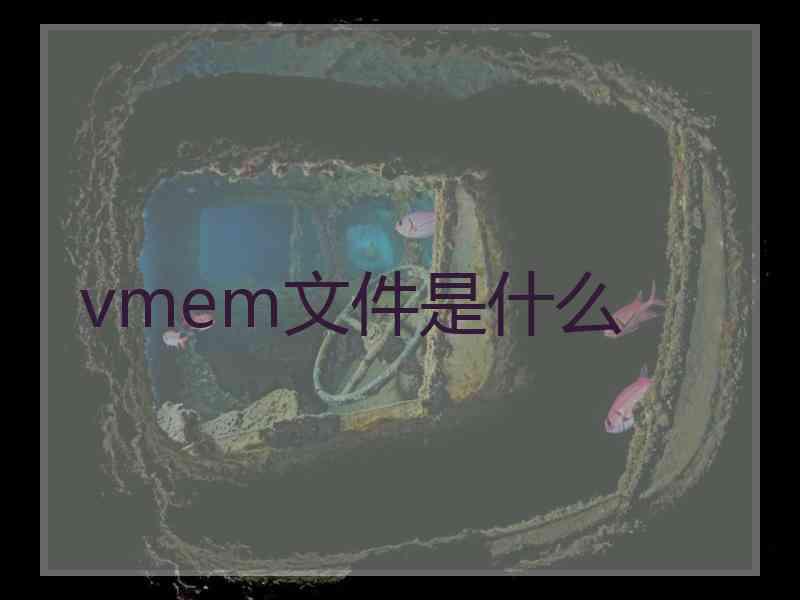 vmem文件是什么