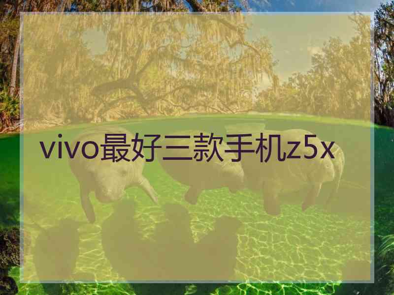 vivo最好三款手机z5x