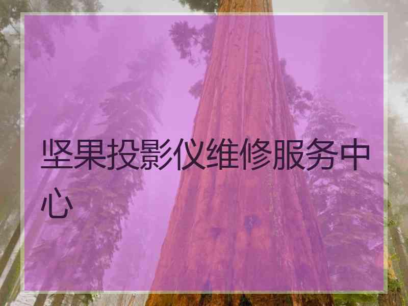 坚果投影仪维修服务中心