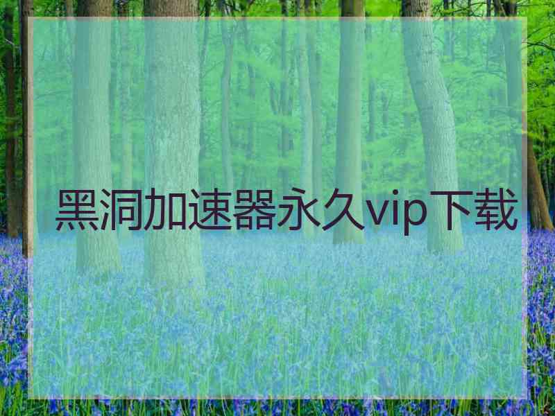 黑洞加速器永久vip下载