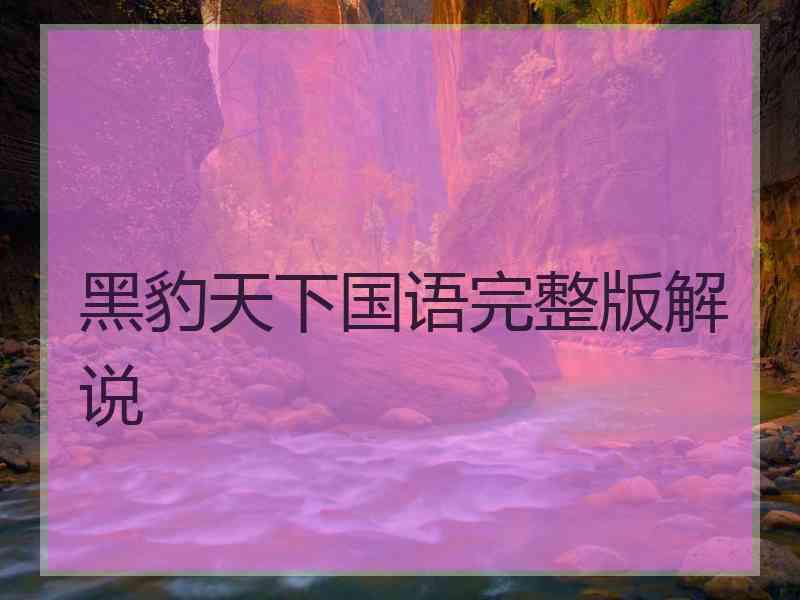 黑豹天下国语完整版解说