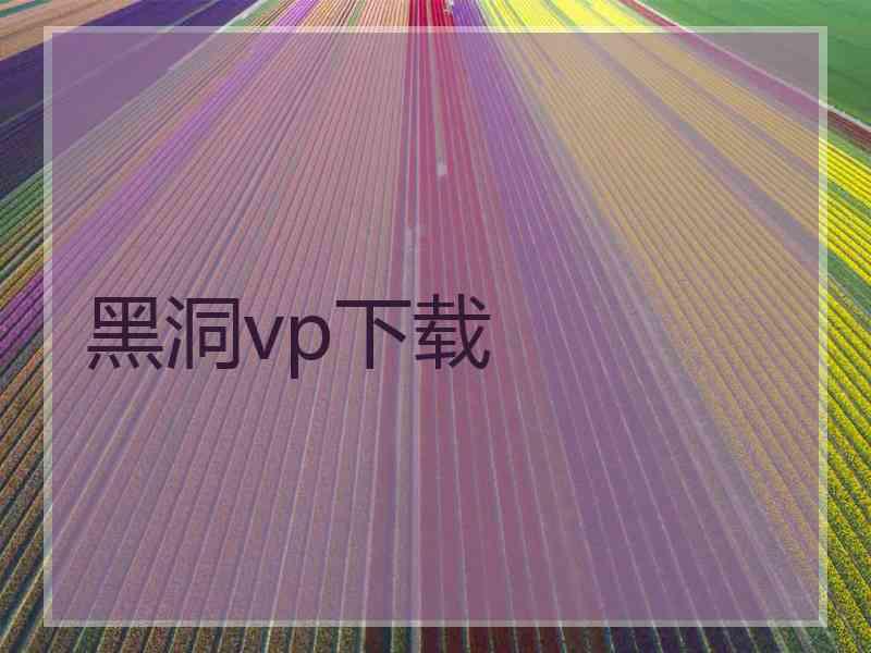 黑洞vp下载