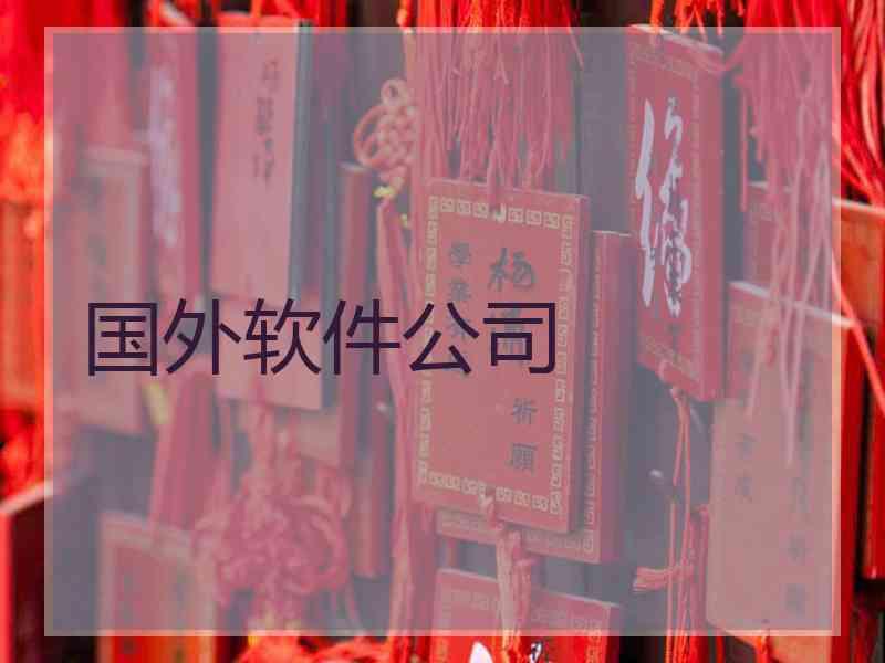 国外软件公司