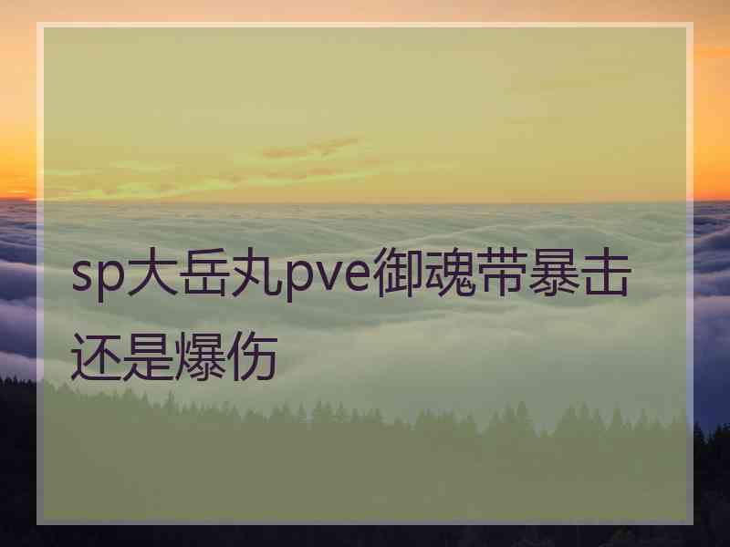 sp大岳丸pve御魂带暴击还是爆伤