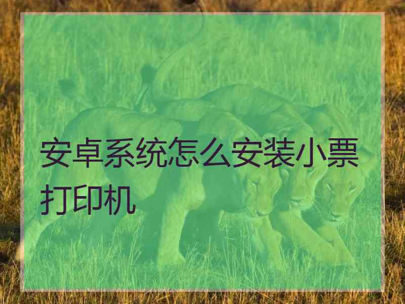 安卓系统怎么安装小票打印机