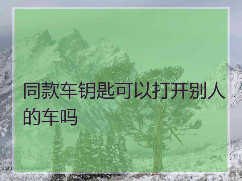 同款车钥匙可以打开别人的车吗