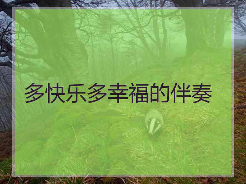 多快乐多幸福的伴奏