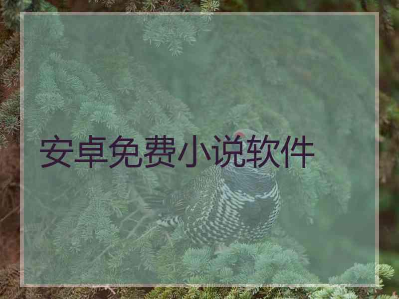 安卓免费小说软件