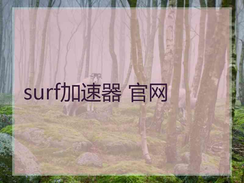 surf加速器 官网